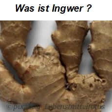 Was ist Ingwer?